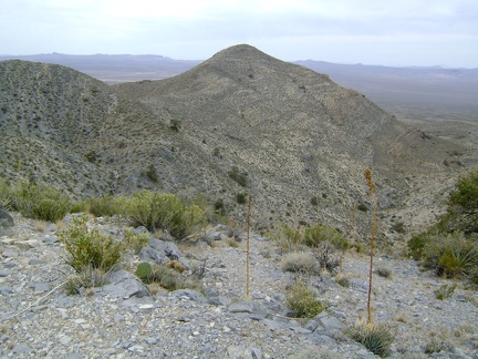 My route up the hill is as steep as anticipated and has great views back down toward the wash