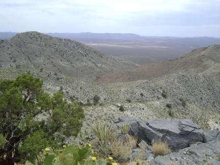 A little higher up the hill, looking west toward Valley Wells, where I stopped at the store  yesterday