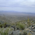 I've reached the top of the hill and Pachalka Spring's green spot  is still in view at the centre-right