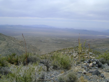 I've reached the top of the hill and Pachalka Spring's green spot  is still in view at the centre-right