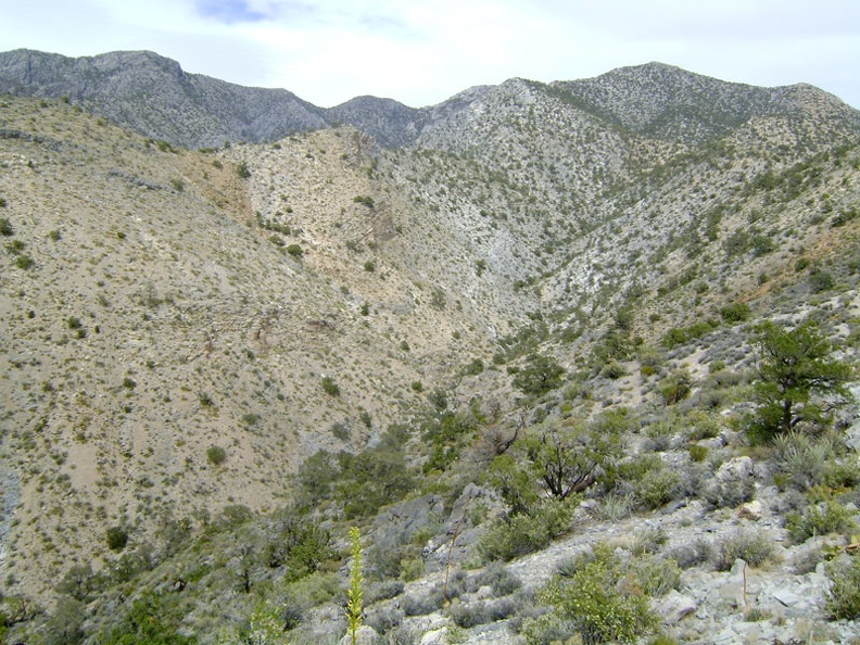 From the ridge, I look down into the steep canyon that descends from Clark Mountain