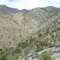 From the ridge, I look down into the steep canyon that descends from Clark Mountain