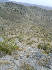 This downhill to Copper World Mine Road is also pretty steep, but it has a bit of a saddle on the way to ease the descent