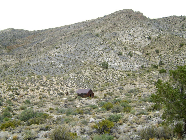 On the half-mile walk up the old road to Copper World Mine, I notice a lonely old cabin nearby
