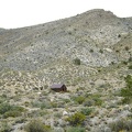 On the half-mile walk up the old road to Copper World Mine, I notice a lonely old cabin nearby