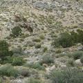 A bit further up the Copper World Mine road, down in a gulley, is an old headframe