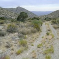 I return to the road and start walking down the canyon away from Copper World Mine