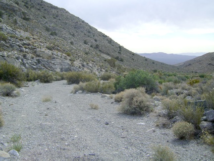 The road twists its way down the canyon away from the old Copper World Mine site