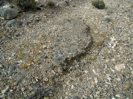 On the old Pachalka Spring Road surface might be a patch of ancient asphalt