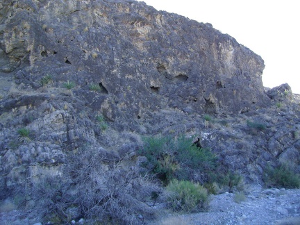 Along the wash near the old Cornfield Spring Road corral is a rock wall with lots of mini-caves carved into it