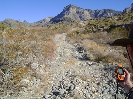 Cornfield Spring Road climbs over a few big hills during its final two miles to avoid the flood-prone wash below the spring