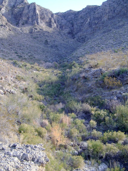 Anticipation: Cornfield Spring is obviously somewhere down there at the upper end of the green area