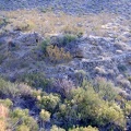 I climb down the steep hillside and notice the remnants of a switchback road on the other side of Cornfield Spring wash