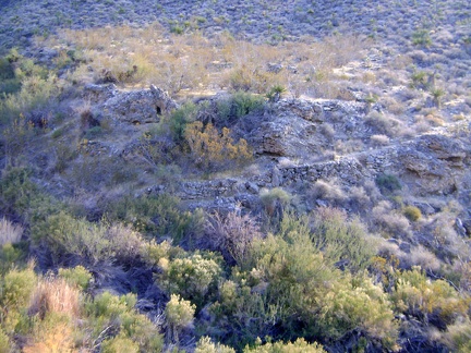I climb down the steep hillside and notice the remnants of a switchback road on the other side of Cornfield Spring wash