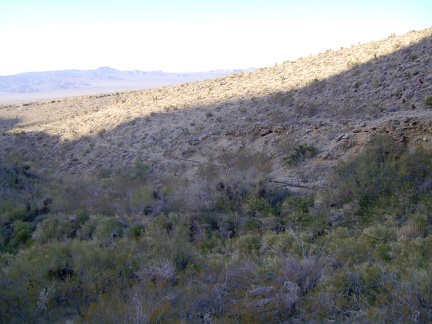 Looking north from the south side of the wash near Cornfield Spring, toward the old water pipe that leads to Kelso