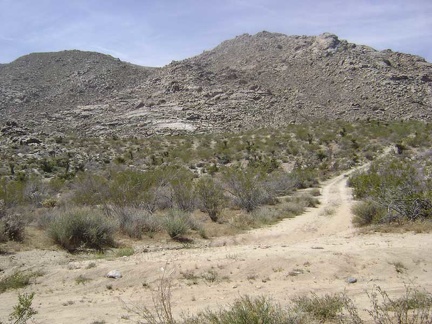 1/3 mile up the main road, I turn down the short road that dead-ends at Coyote Springs