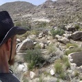 I begin my walk through the Coyote Springs area and come across these two dry cisterns
