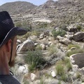 I begin my walk through the Coyote Springs area and come across these two dry cisterns