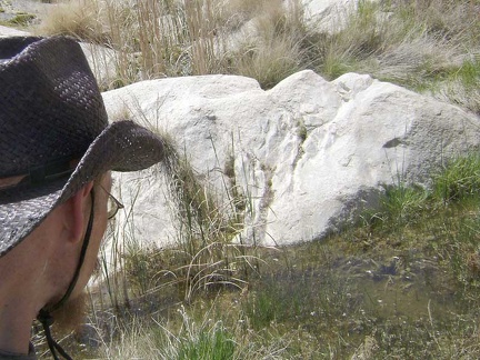 Pool of water at Coyote Springs