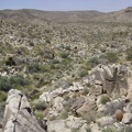 I climb up an adjacent boulder pile at Coyote Springs to start my walk back to the tent 1/2 mile down the road