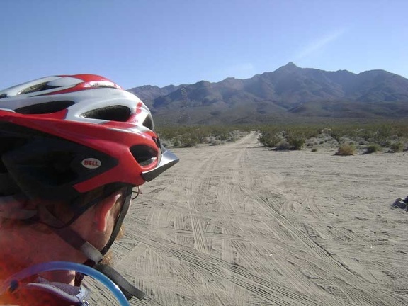 I mount the bike and ride the 1/4-mile shortcut at the end of Kelso Dunes Road to the nearby power-line road