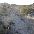 The old road toward Coyote Springs rises up a low hill