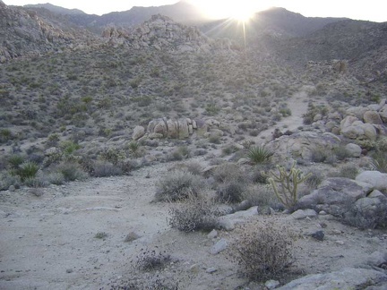 The Coyote Springs area becomes more picturesque as I continue up the old road