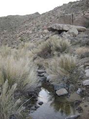 Lo and behold, I've just reached a full-fledged desert stream!