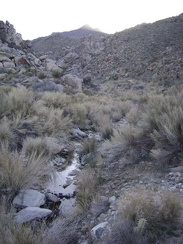 I decide to walk upstream to explore the extent of the stream and see if its beginning can be easily identified