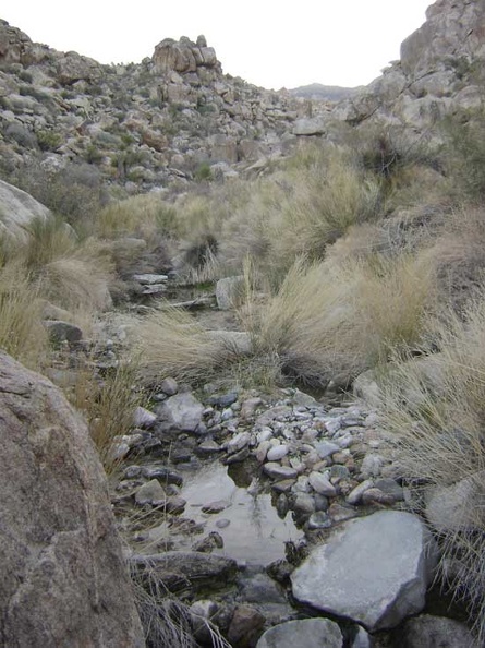 07229-coyote-springs-water-800px.jpg