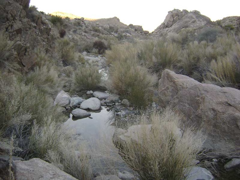 07230-coyote-springs-water-800px.jpg