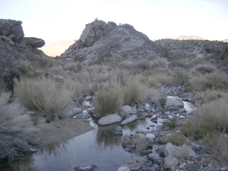 07236-coyote-springs-water-800px.jpg