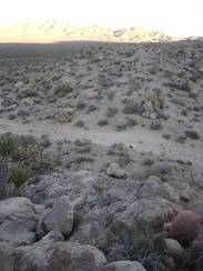 Looking back down at the old Coyote Springs Road from the little hill that I've climbed up