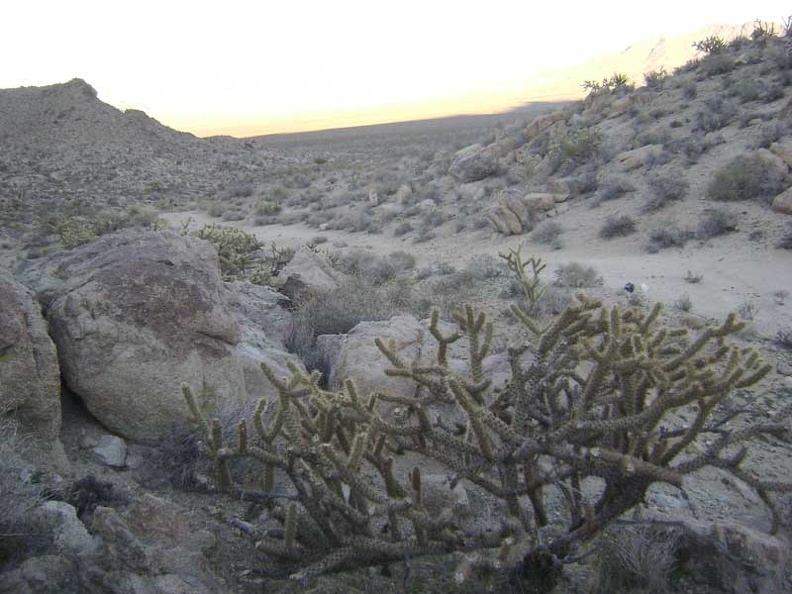 07253-cholla-road-800px.jpg