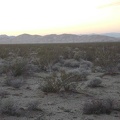 At this time of day, Kelso Dunes look like earth rather than huge piles of sand