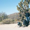 Stopping under a Joshua tree on Cedar Canyon Road