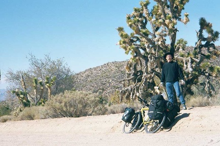 Stopping under a Joshua tree on Cedar Canyon Road