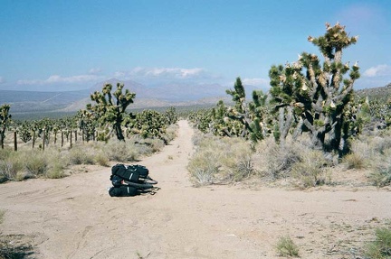 Now on Death Valley Mine Road, I cross the junction of the old Mojave Road
