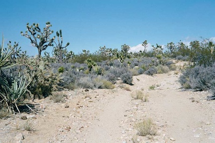 Death Valley Mine Road is also rocky in places