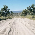 At the end of Death Valley Mine Road, I hit patches of deep sand on the Cima Road