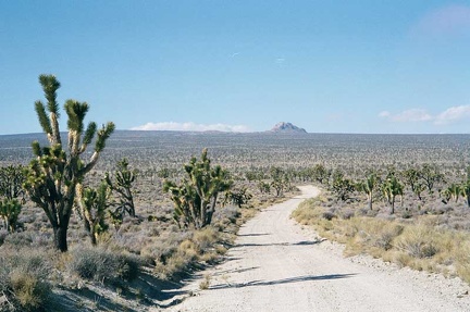 Beautiful open views across the Joshua tree forest on the way down to Cima