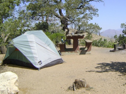 Mid Hills campground, Mojave National Preserve before today's hike to Eagle Rocks and Wildcat Spring