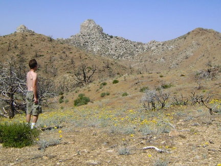 Across the road from the water tap, I ponder the wiew of the Eagle Rocks, which will be the first stop on today's hike