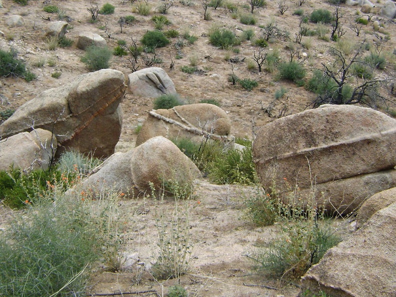 There's no shortage of quirky rocks in the Eagle Rocks area to look at