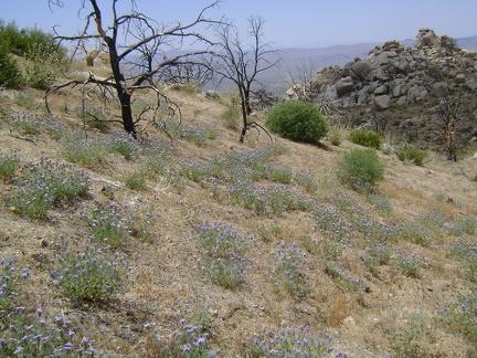 I begin hiking beyond Eagle Rocks into new territory that I've been looking forward to visiting