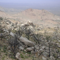 Day 4: Mid Hills campground hike to Eagle Rocks, Wildcat Spring, Chicken Water Spring and Silver Lead Spring