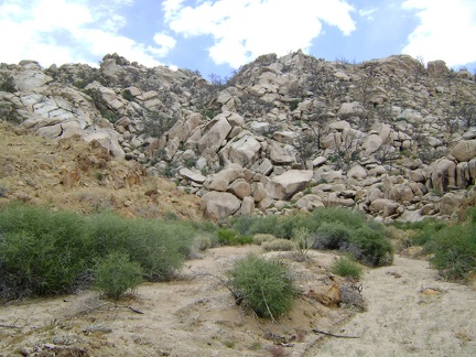 I reach the bottom of the boulders and look back to see what I've just climbed down; I expect sore knees and thighs tomorrow