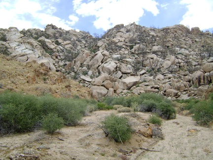 I reach the bottom of the boulders and look back to see what I've just climbed down; I expect sore knees and thighs tomorrow