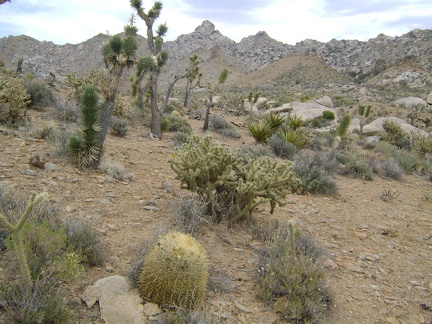 Looking back again at the Eagle Rocks and Mid Hills area