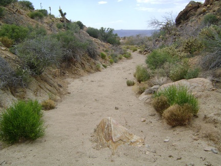 My Delorme GPS leads me into a small wash as I look for signs of Wildcat Spring